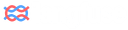 Langfuse