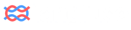 Langfuse